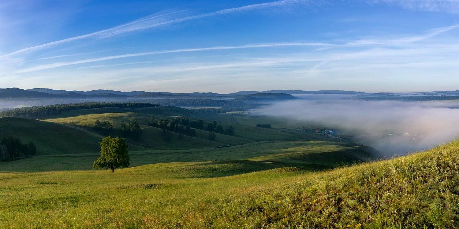 туман, утро, рассвет, Леонид Максименко