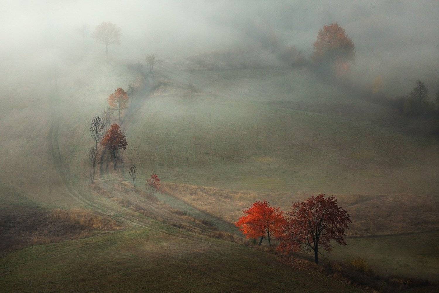 landscape,canon,mist,light,autumn, Iza,Darek