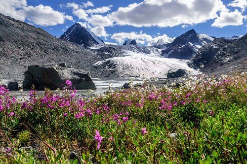 Софийский в цветах
