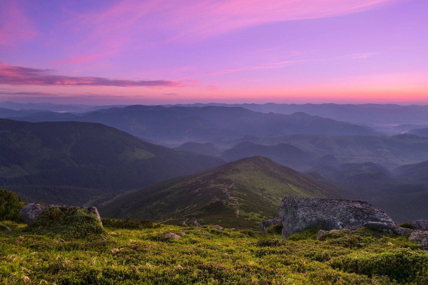 , Зинченко Роман