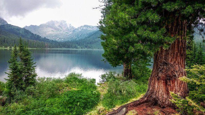 Утро на Светлом фото превью