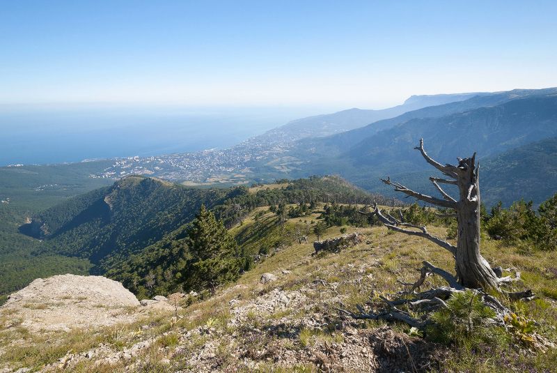 Занавес!  фото превью