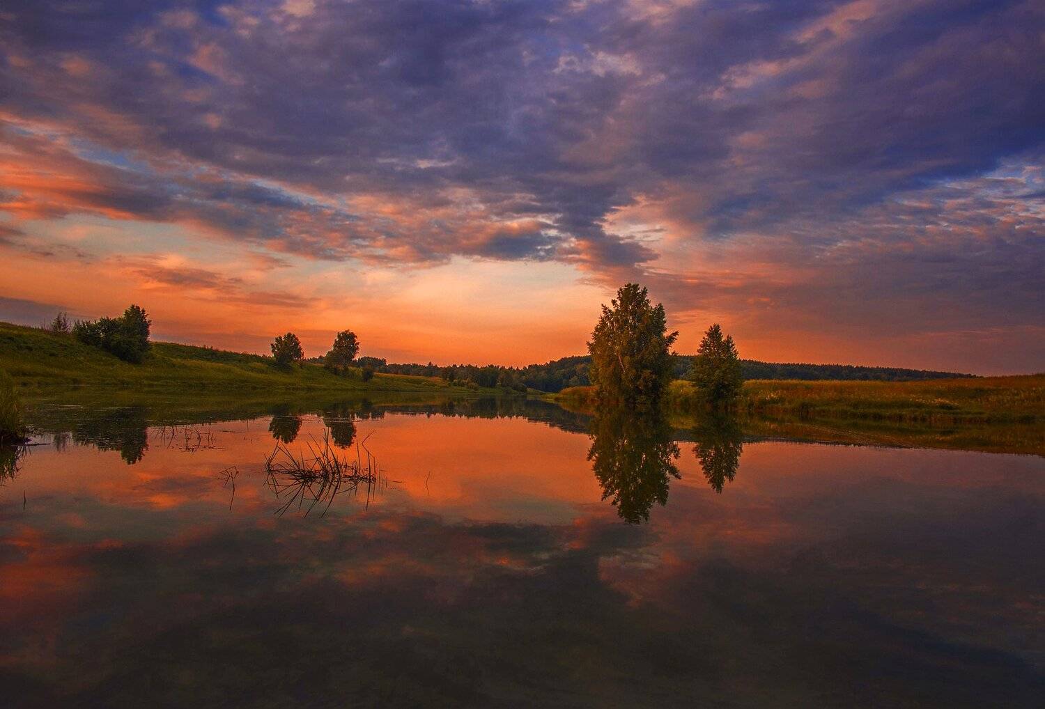 фото, природа, рассвет, река, лес, лето, Екатерина