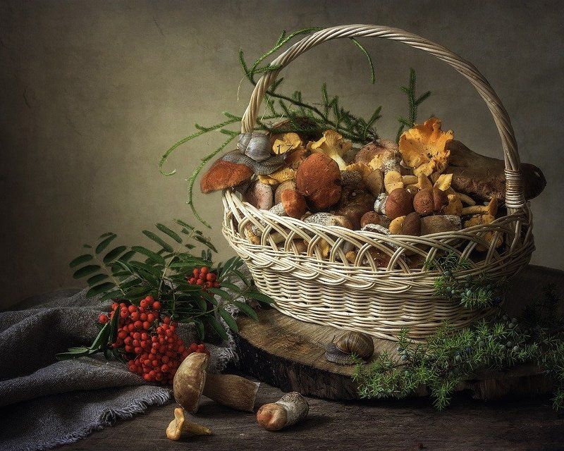 Грибная пора фото превью