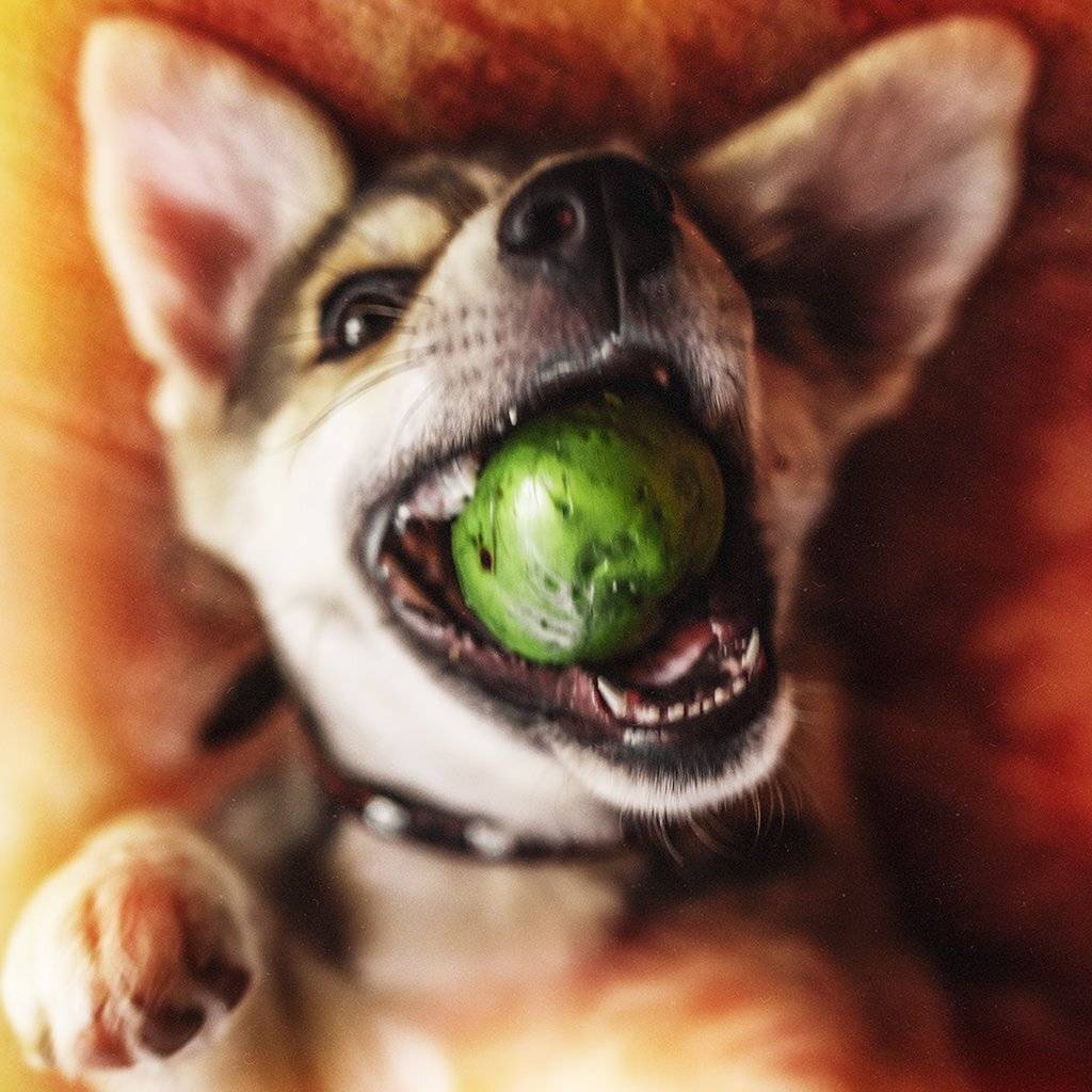 , Рублёв Дмитрий