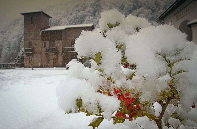снег Невесомый снег. фото превью