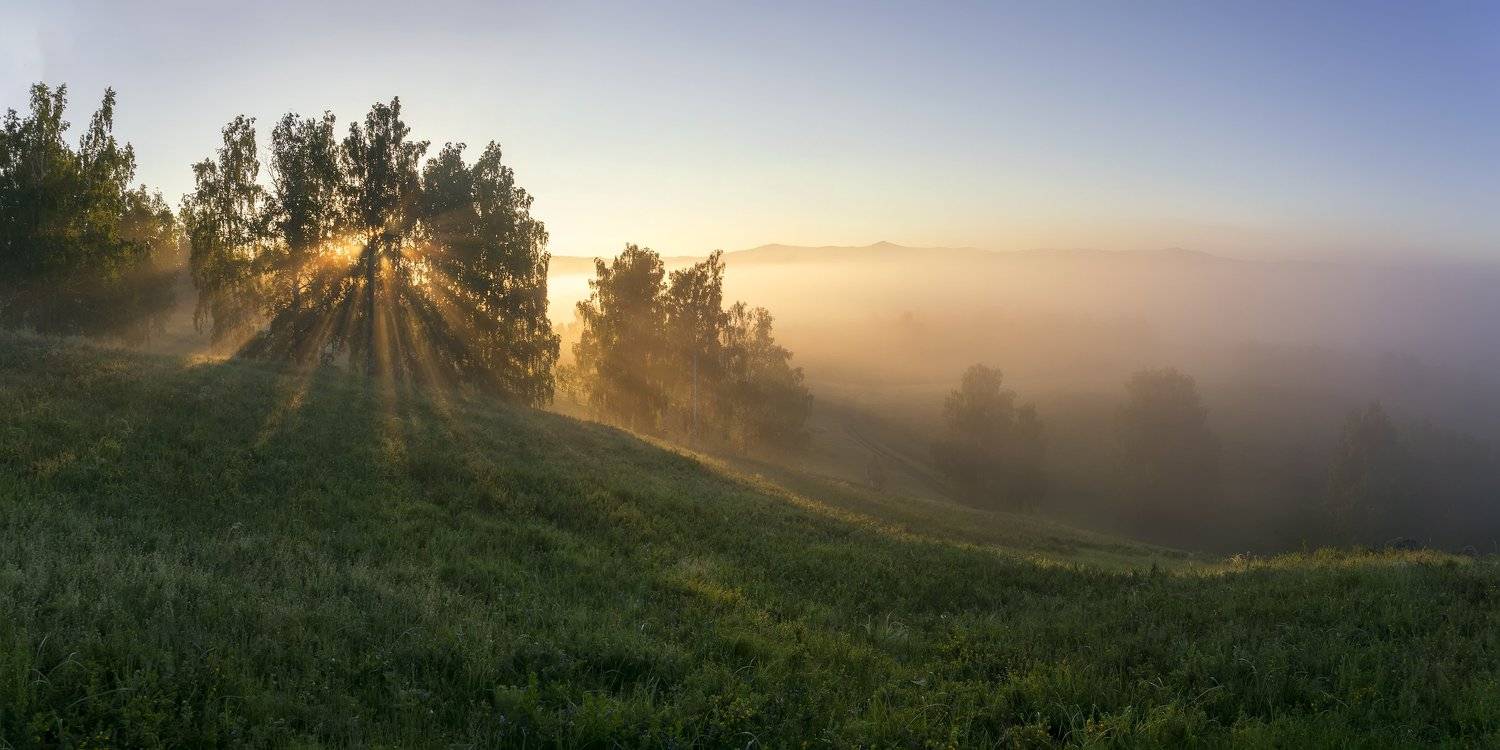 утро, рассвет, восход, туман, лучи, Леонид Максименко