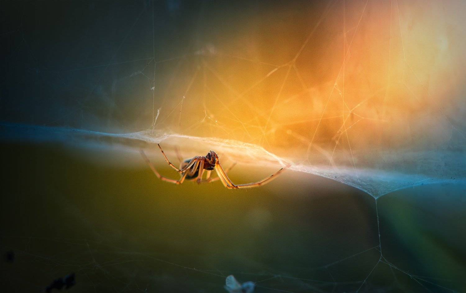 , Александр Пругов