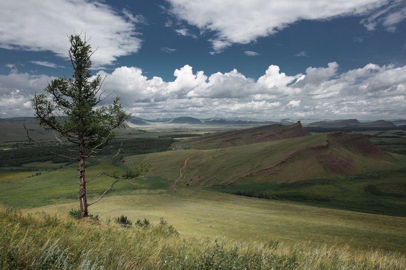 хакасия, пейзаж, хайкинг, енисей, абакан, красноярское море, красивый, холмы, боград, лето, утро Сундуки фото превью