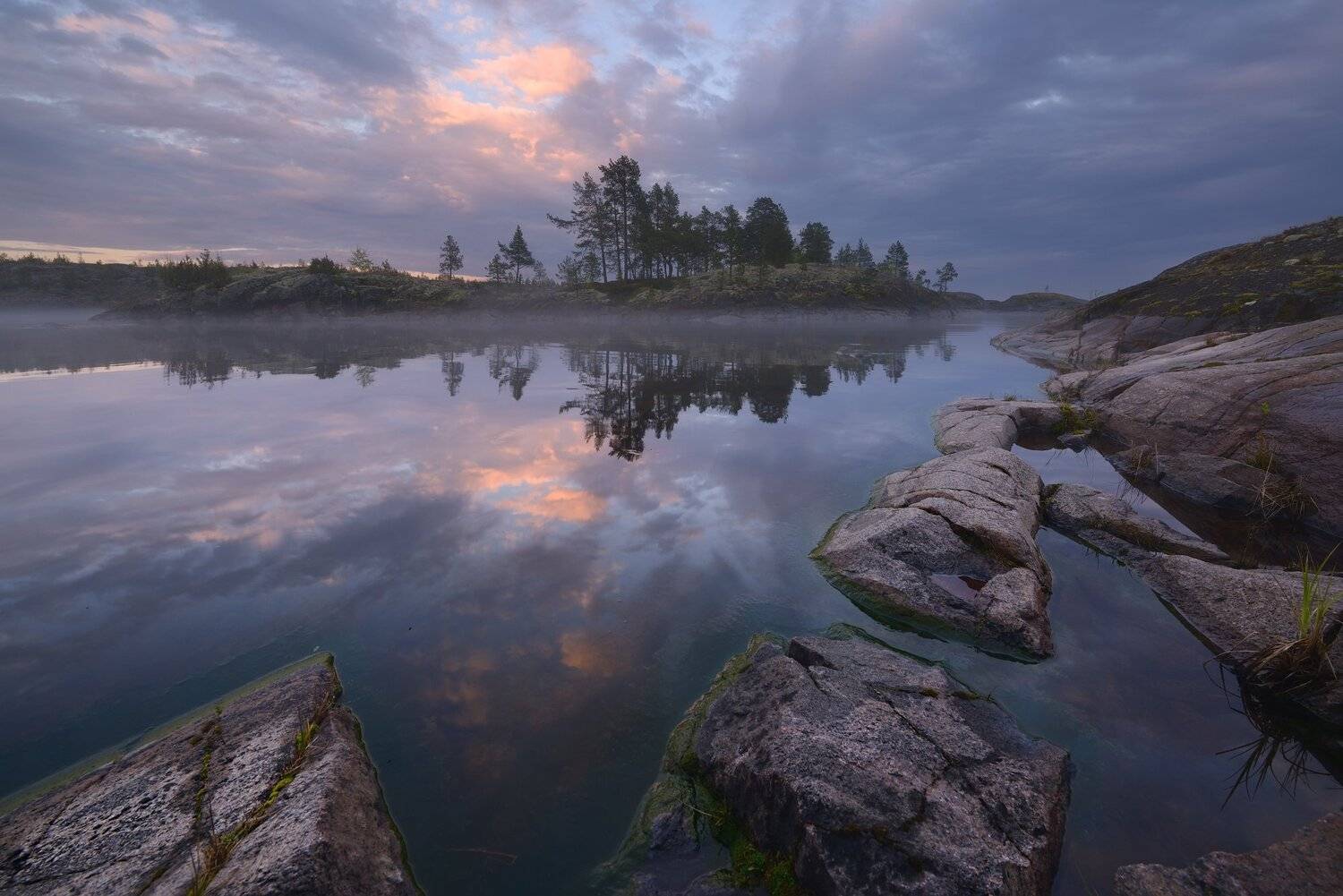 , Максим Евдокимов (www.wildphotorus.ru)