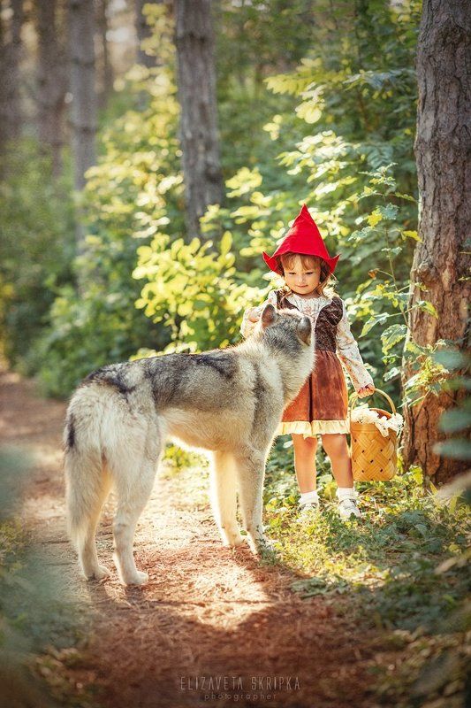 Красная шапочка фото превью