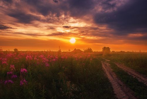 Встречая туманный рассвет