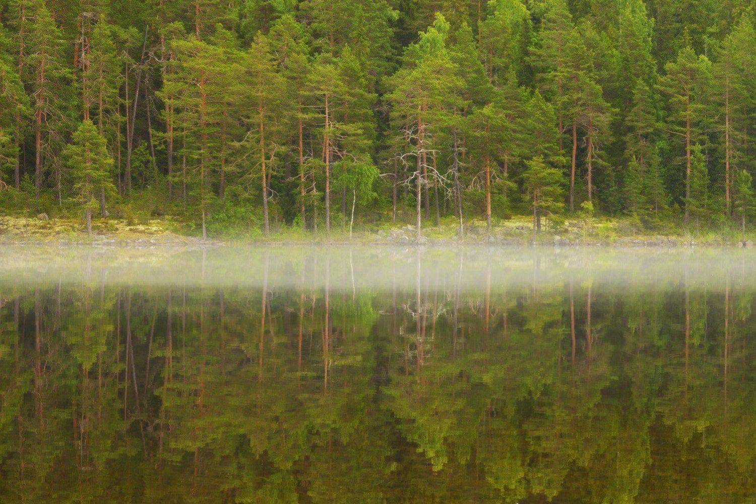 онежское озеро, штиль, отражение, туман, Сергей Седов