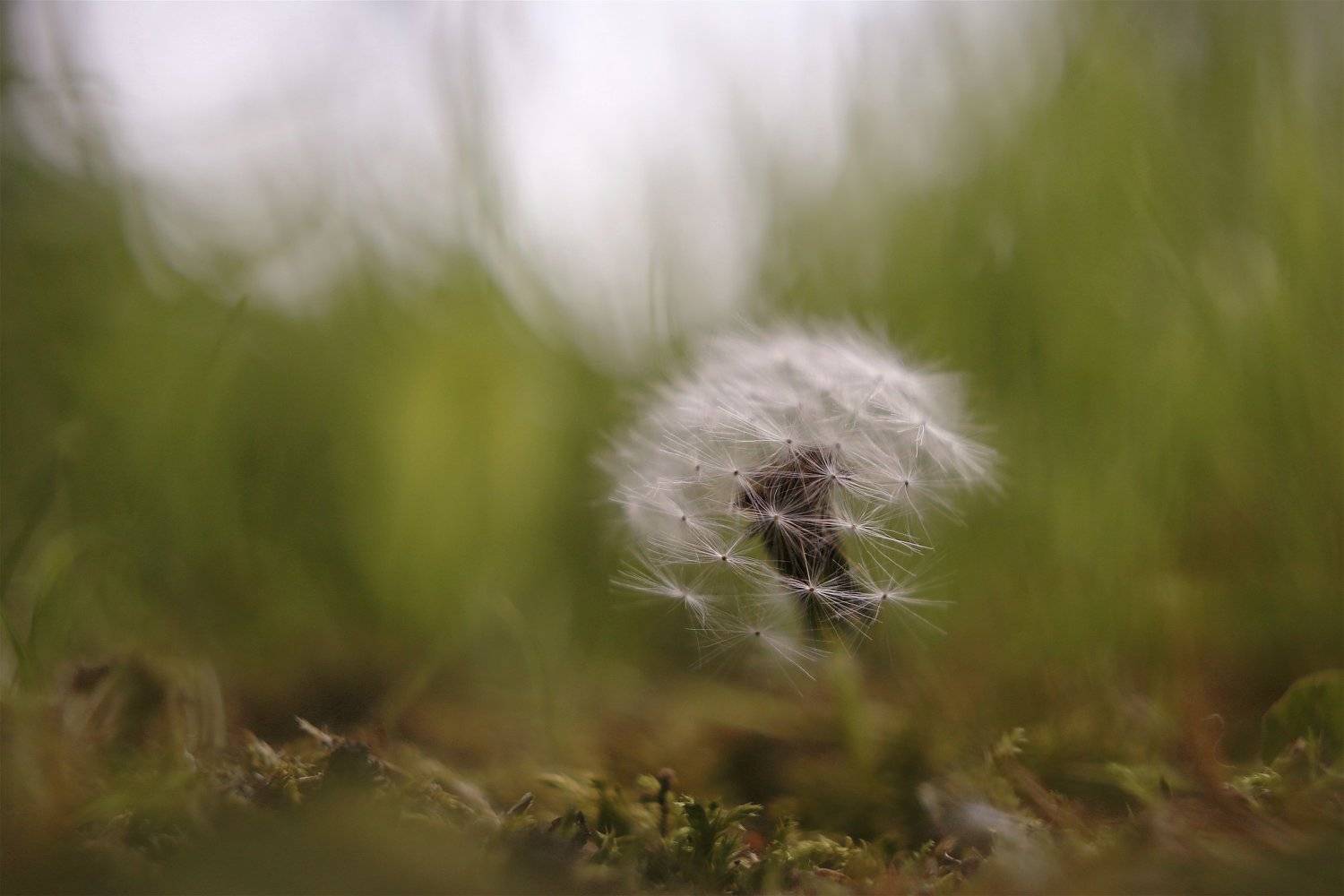 , Эдуард Колобошников