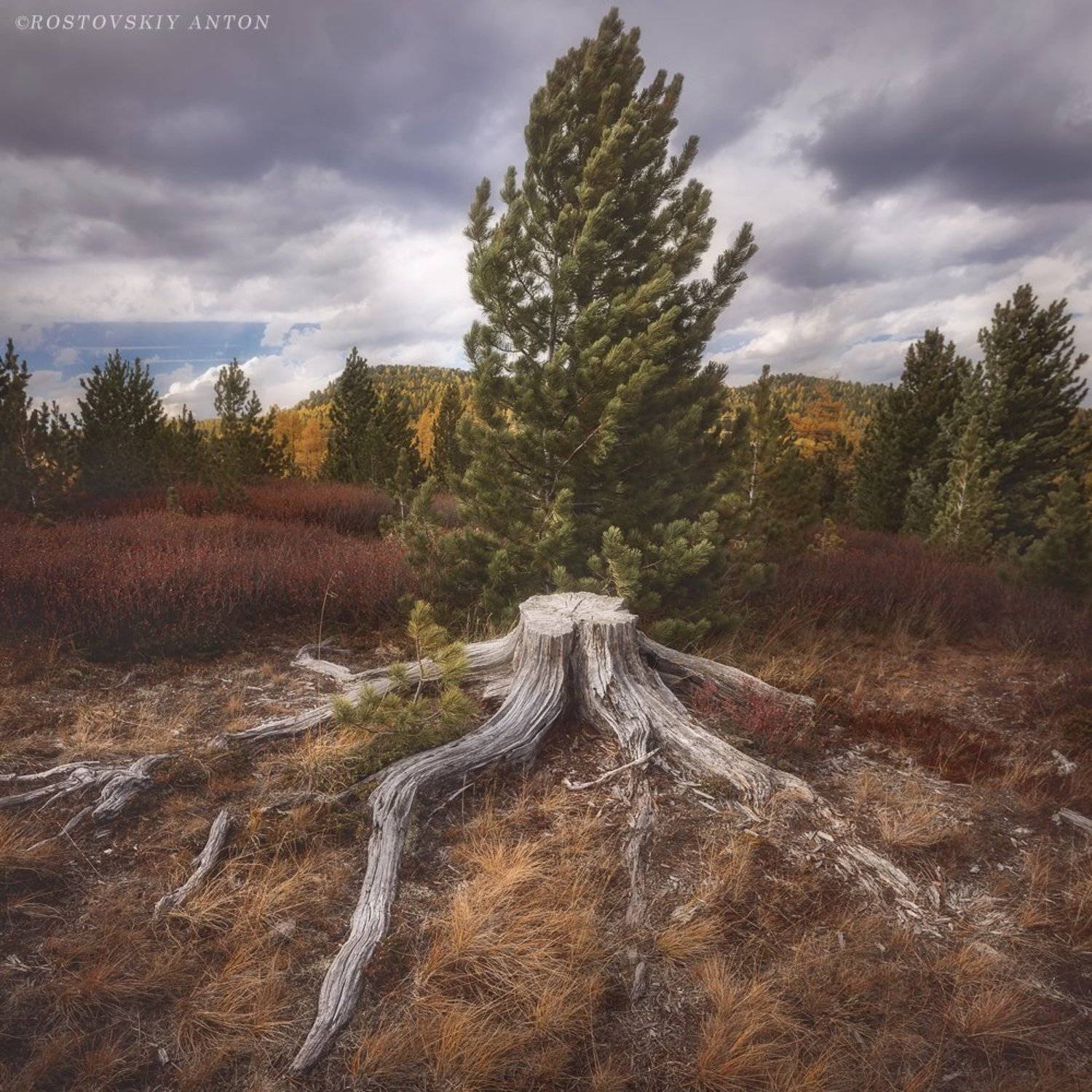 Алтай, Россия, фототур, фотопутешествие, Антон Ростовский