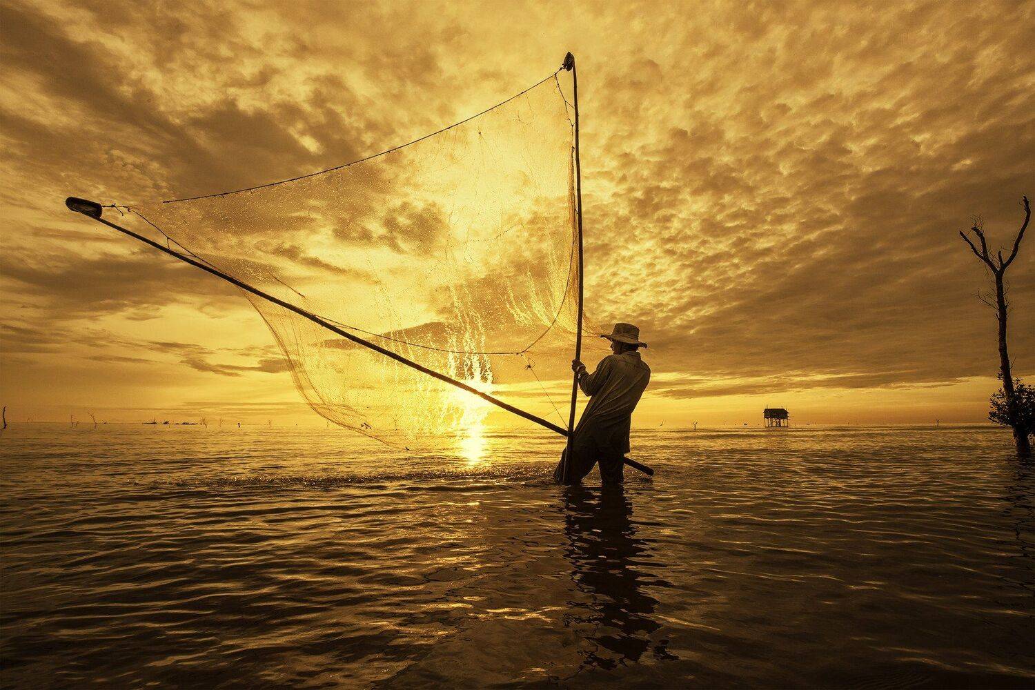 , vannguyenhop29@gmail.com