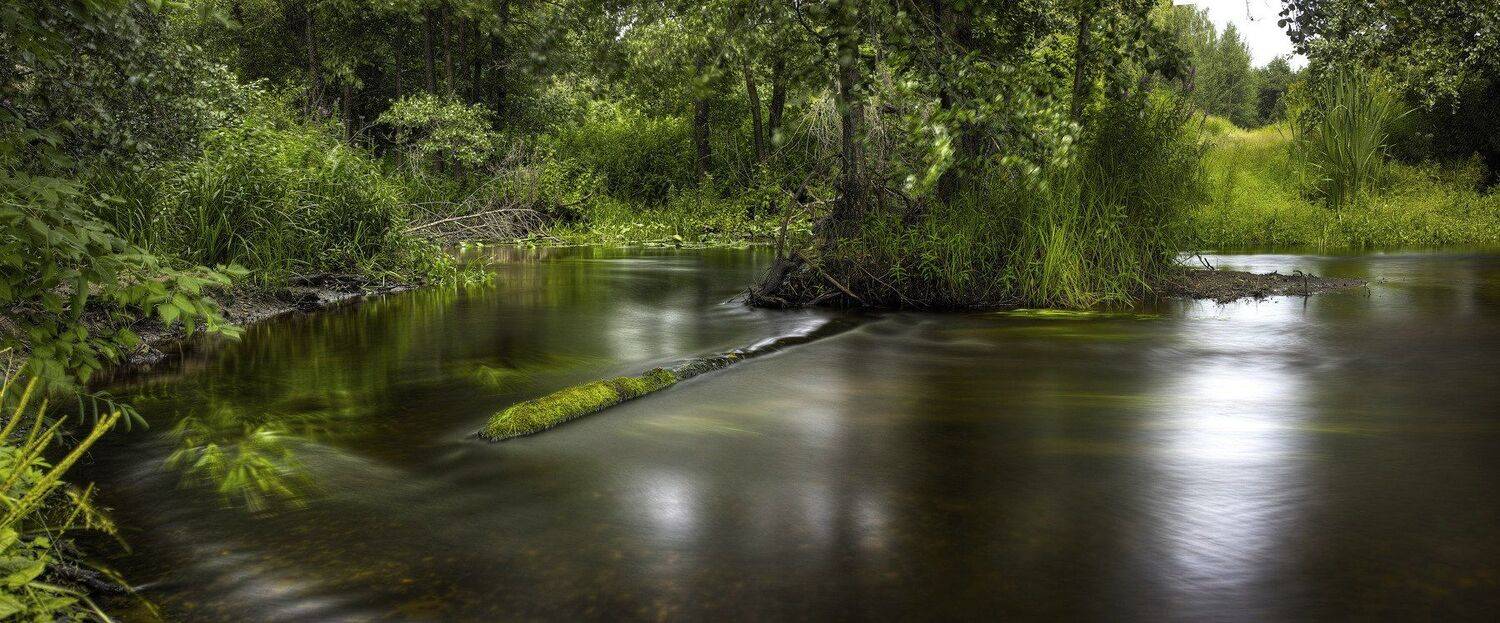 Вода,лето, Бусыгин Борис