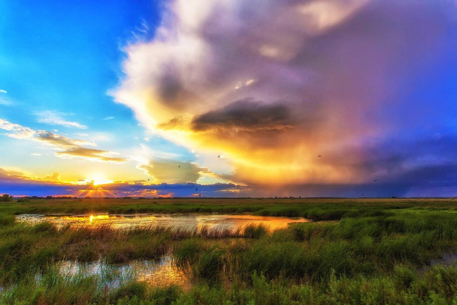 , Павел Сагайдак