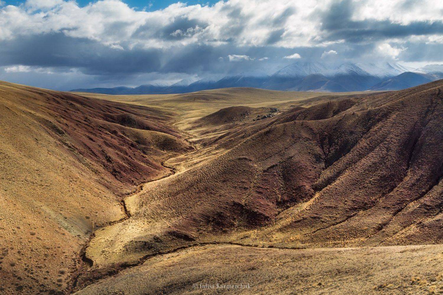 landscape, scenic, nature, travel, outdoor, view, tourism, steppe, spring, mountains, snow, sky, high, grass, clouds, yellow, red, ginger, Altai, Казмерчук Юлия