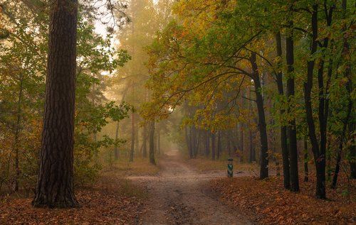 В преддверии осени, август