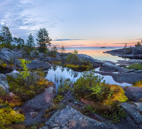 Болотный бансай на Ладожском граните