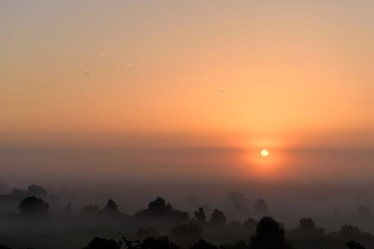 пейзаж,природа,утро,рассвет,лето,август,солнце,туман,россия, Юлия Лаптева