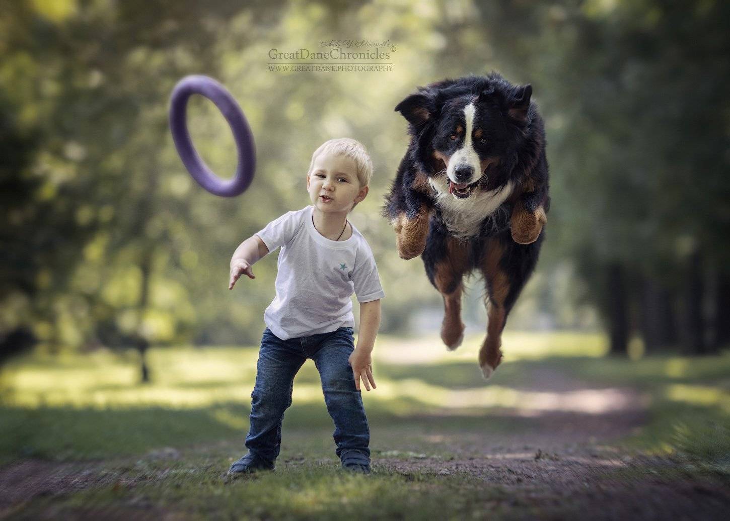 , Андрей Селиверстов