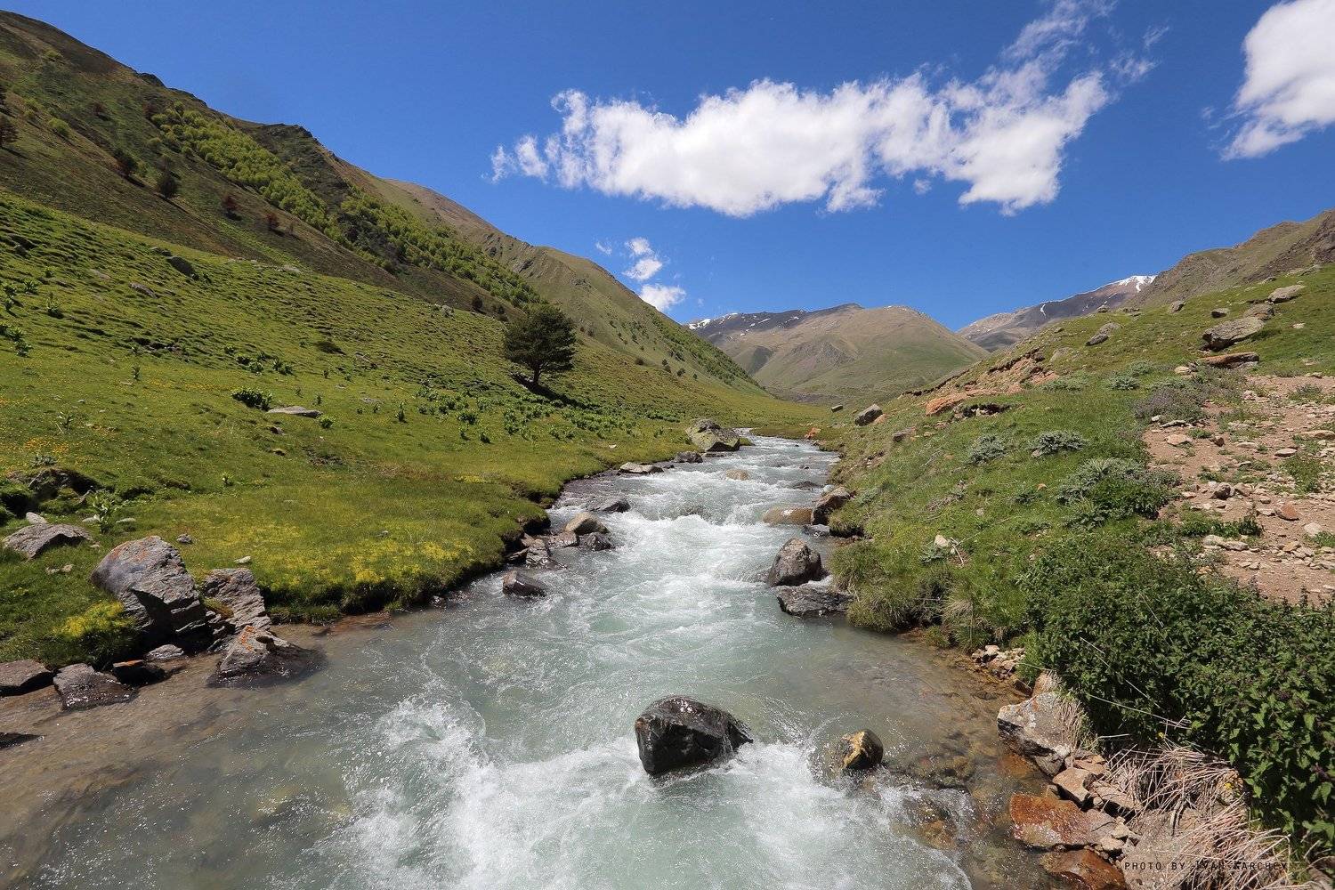 , Иван Карчев