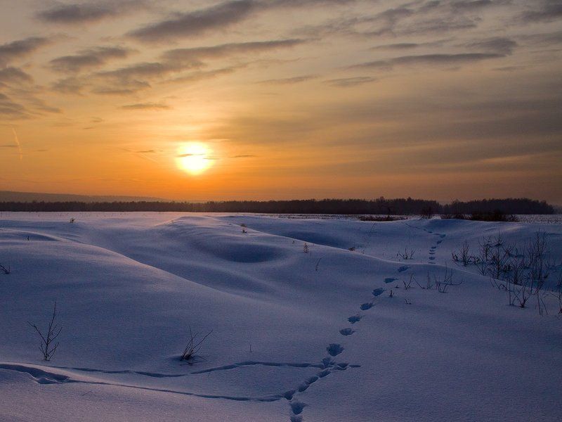 ** фото превью