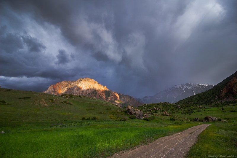 *** фото превью