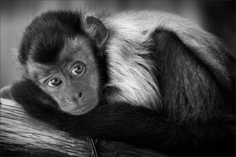 , Сергей Фудиненко