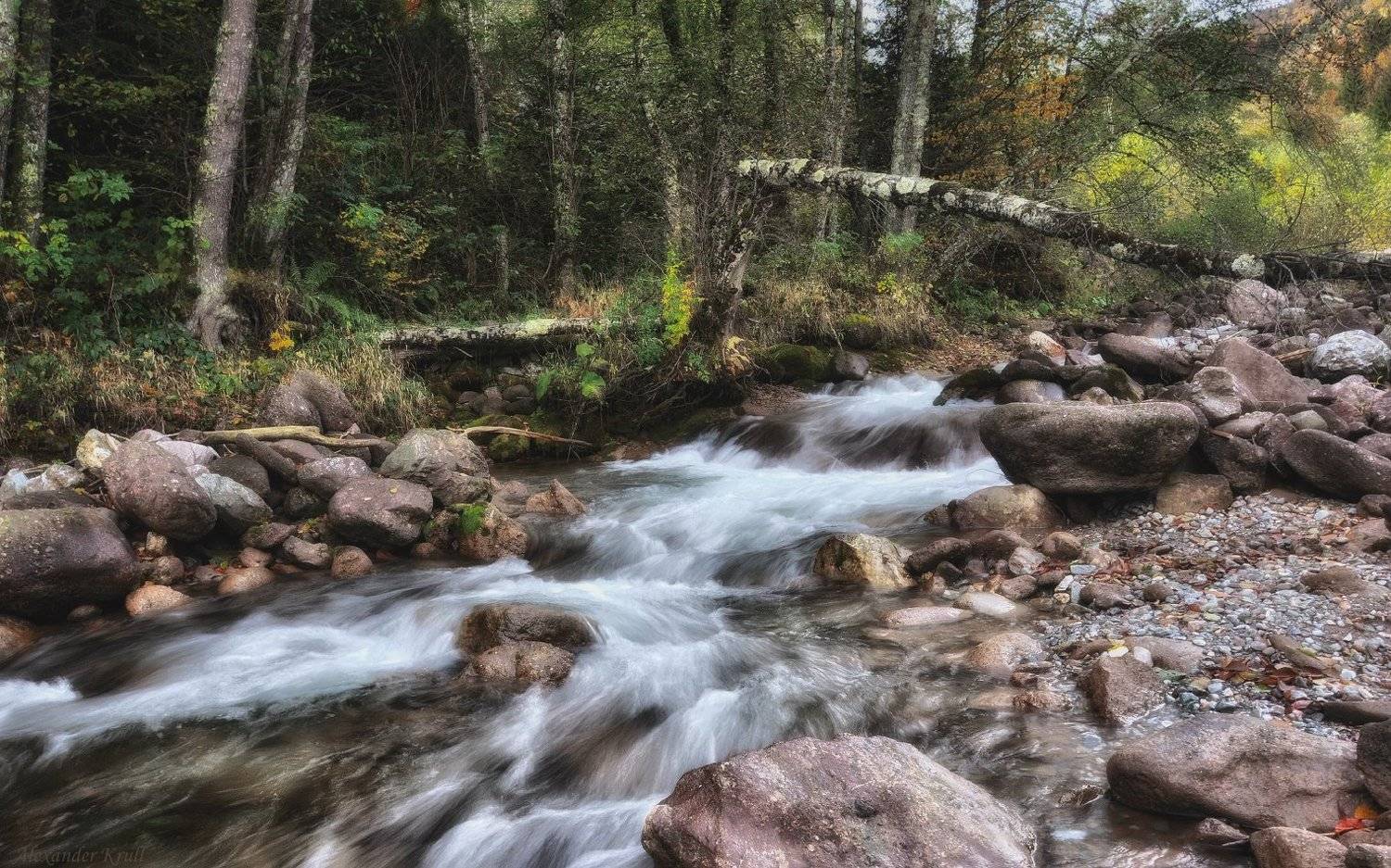 , Александр Круль