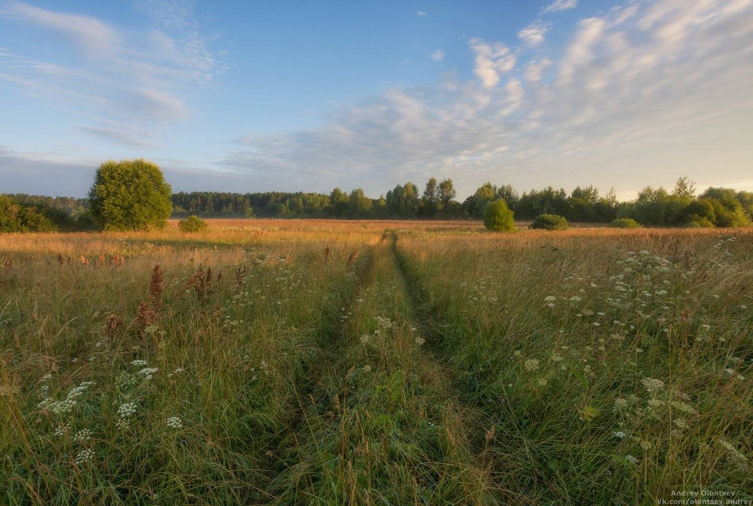 дубна, наукоград, подмосковье, россия, пейзаж, пейзажи, вода, солнце, отражение, рассвет, красота, природа, весна, погода, canon dubna, naukograd, moscow, russia, landscape, water, sun, reflection, dawn, beauty, nature, spring, weather, Андрей Олонцев