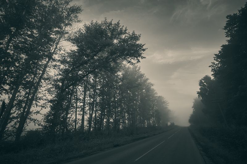 Дорога в Никуда фото превью