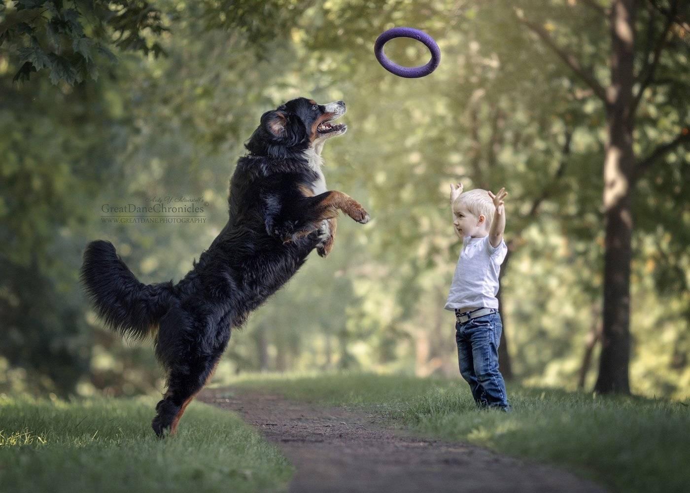 , Андрей Селиверстов