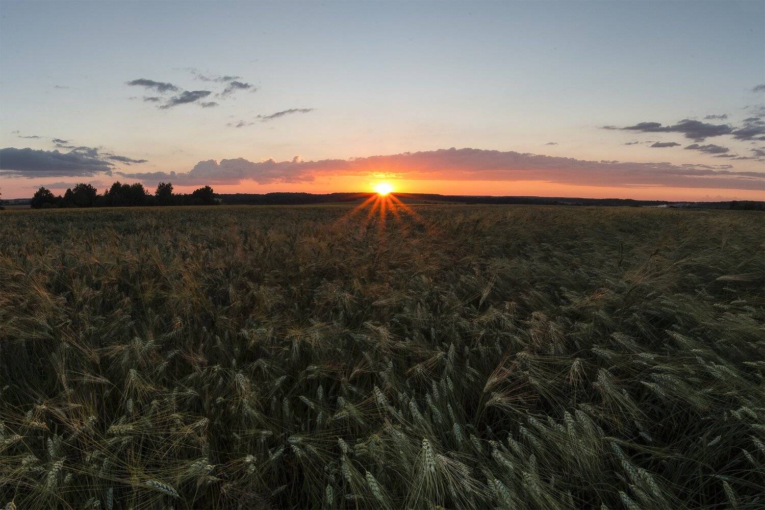 , Виталий Стрельцов