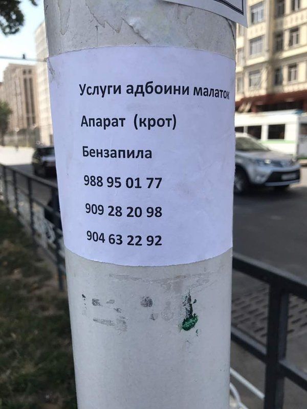 Сюрпризы по дороге фото превью