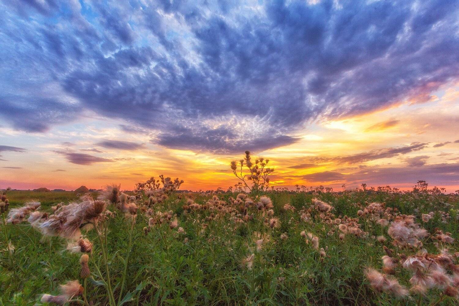 , Павел Сагайдак