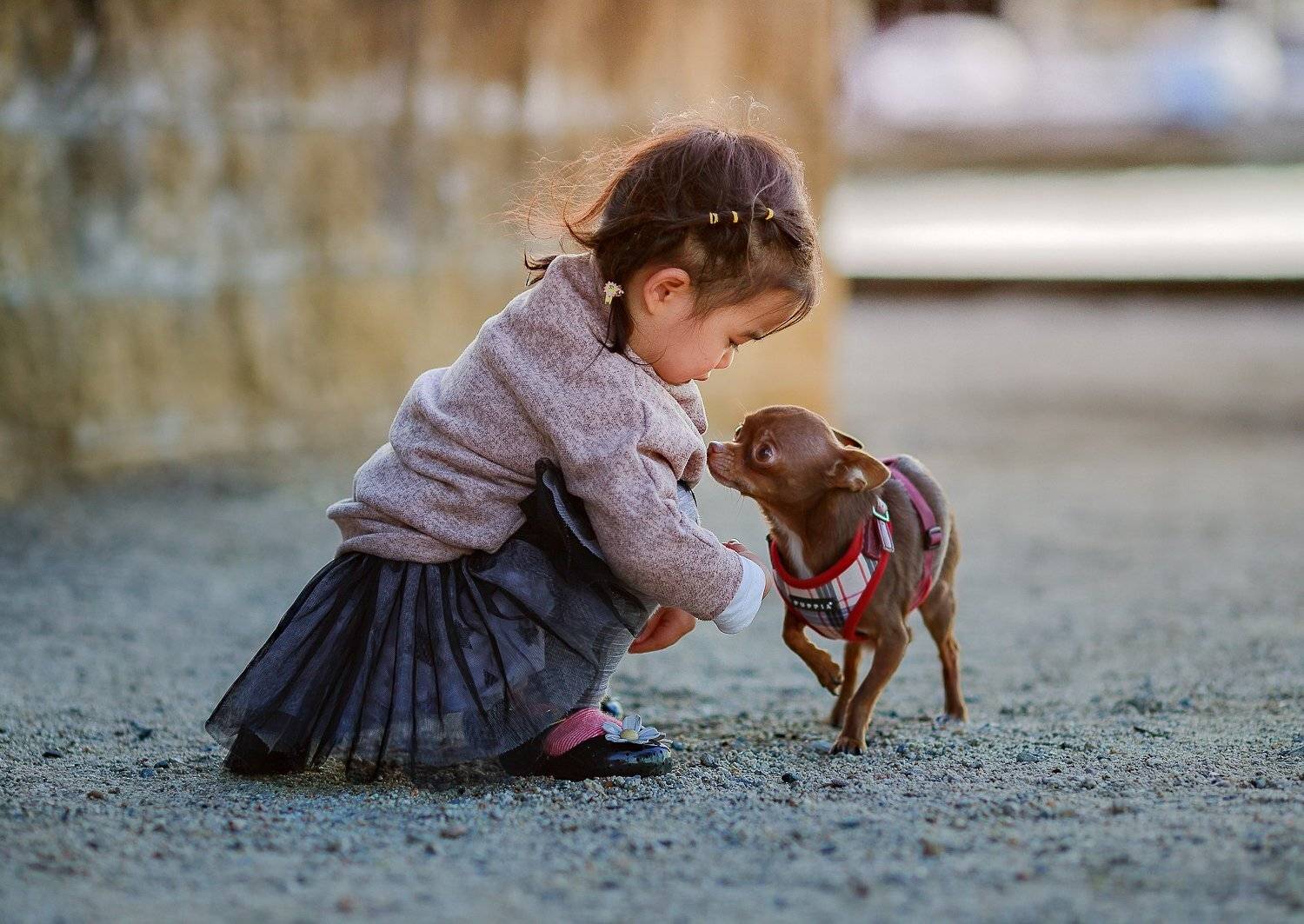 kids, childhood, cute, connection, littlegirl, family, daughter, doggy, love, Derek Zhang
