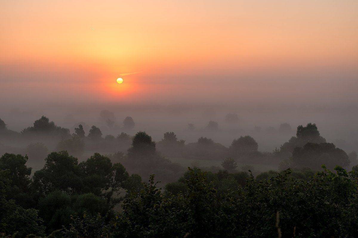 пейзаж,природа,рассвет,утро,туман,россия,лето, Юлия Лаптева