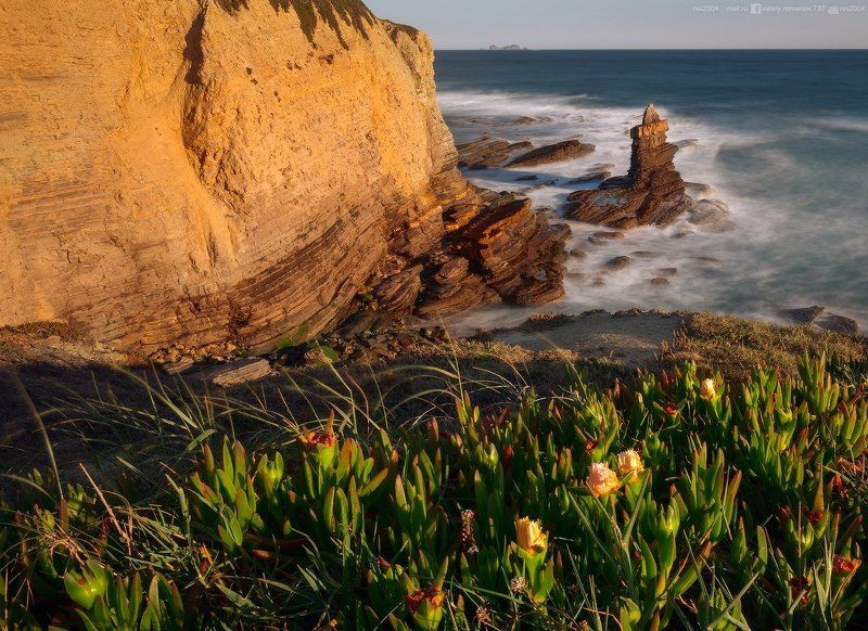 Желтый, цветы, восход, море, закат, солнце, океан, скала, волны, горизонт, зеленый, морской пейзаж, волна, лиссабон, португалия, скала, пениши, обрыв, мыс, манарола, скала, карвоейру Sunny morning with a view of the Atlantic - Солнечное утро с видом на Атлантику  фото превью