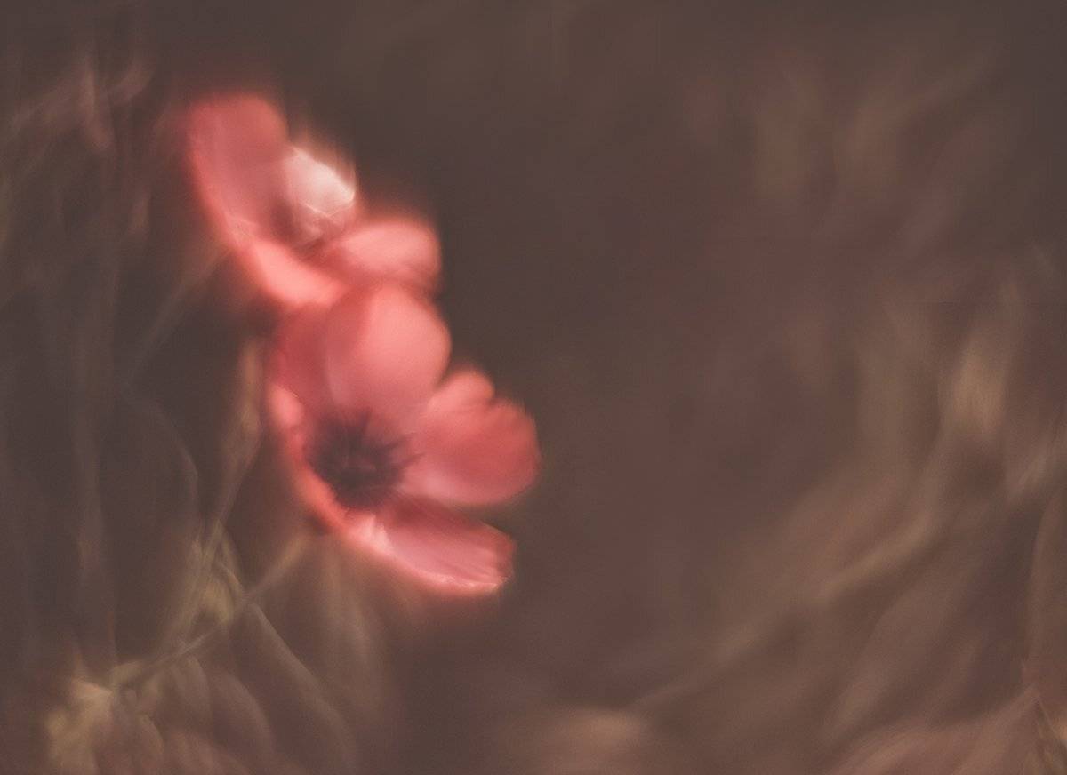 , Татьяна Аверина