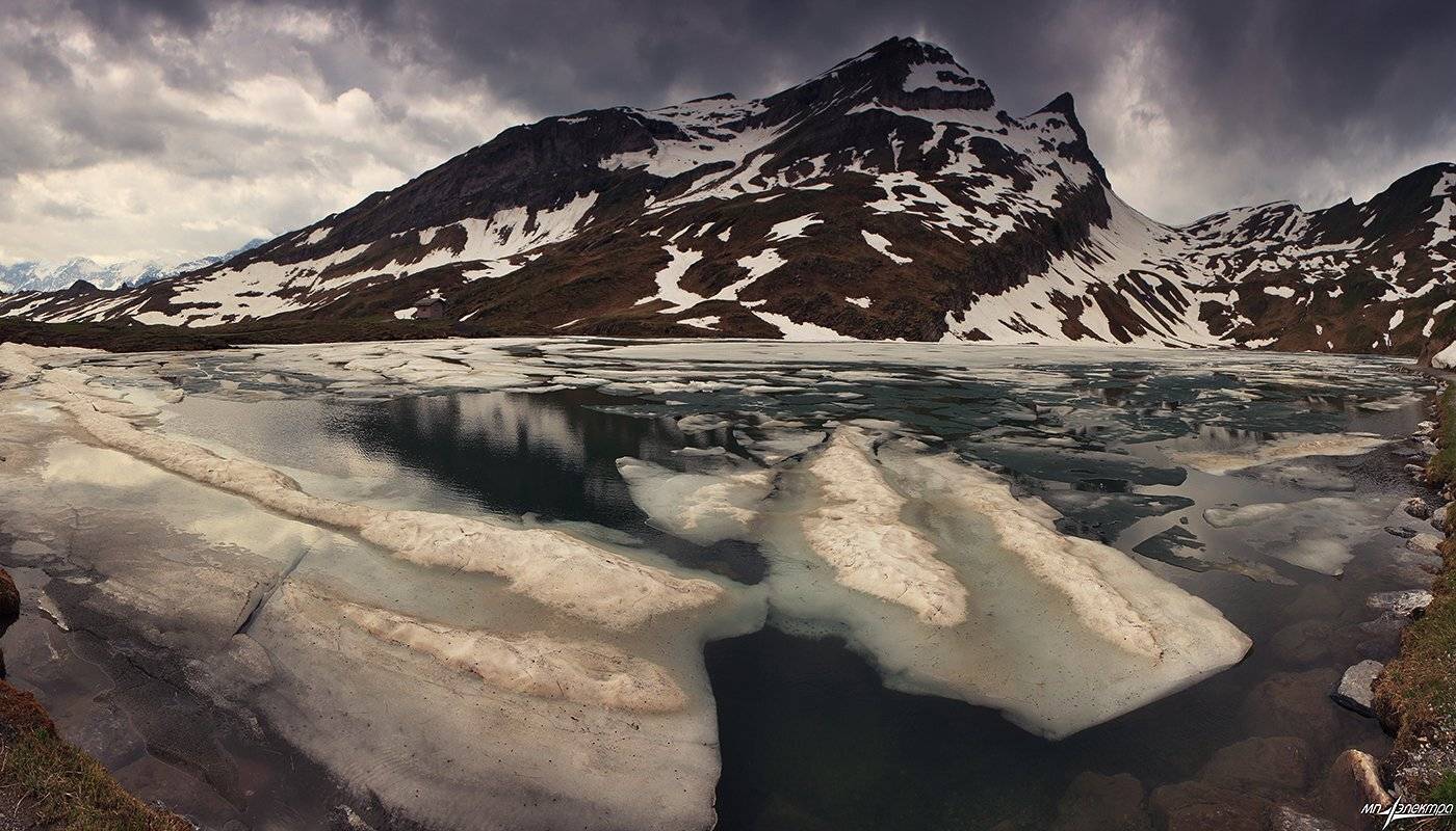 swiss, Матвеев Николай