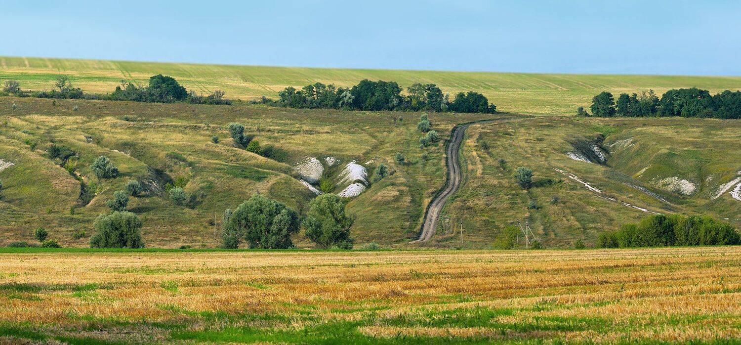 поле,деревья,склон,провода,сено,листва, Юрий Котов
