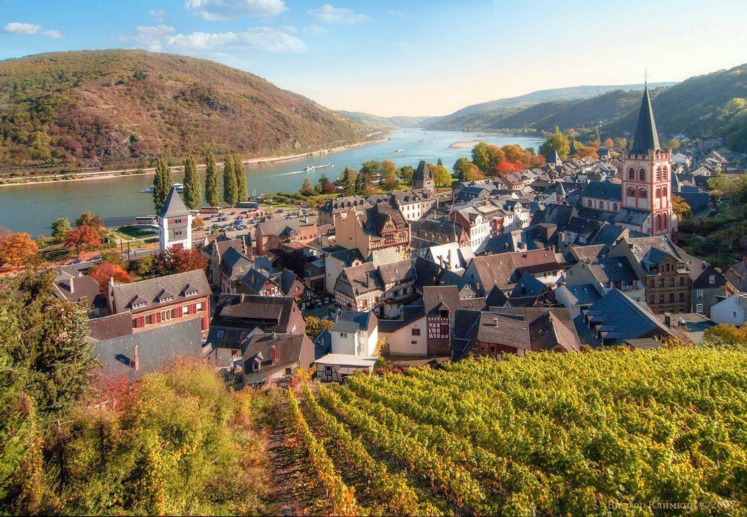 рейн, река, германия, виноградники, rhein, bacharach, deutschland, Виктор Климкин