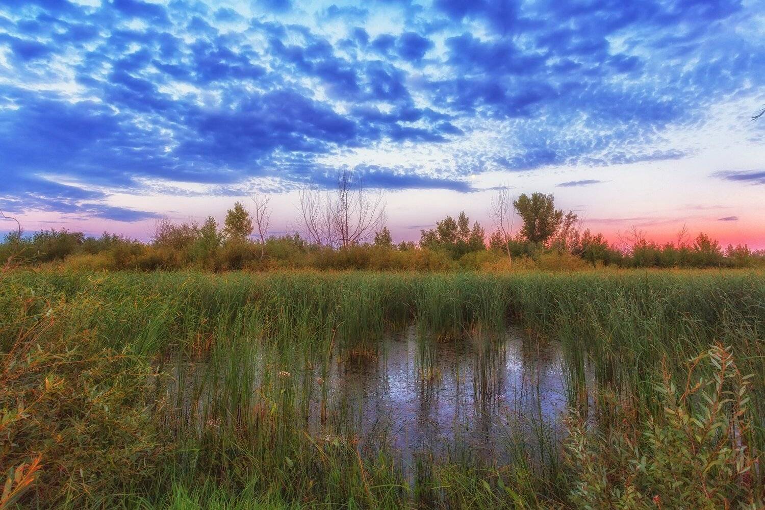 , Павел Сагайдак