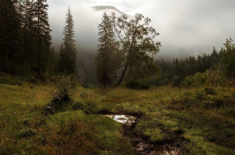 Таежный рассвет. фото превью