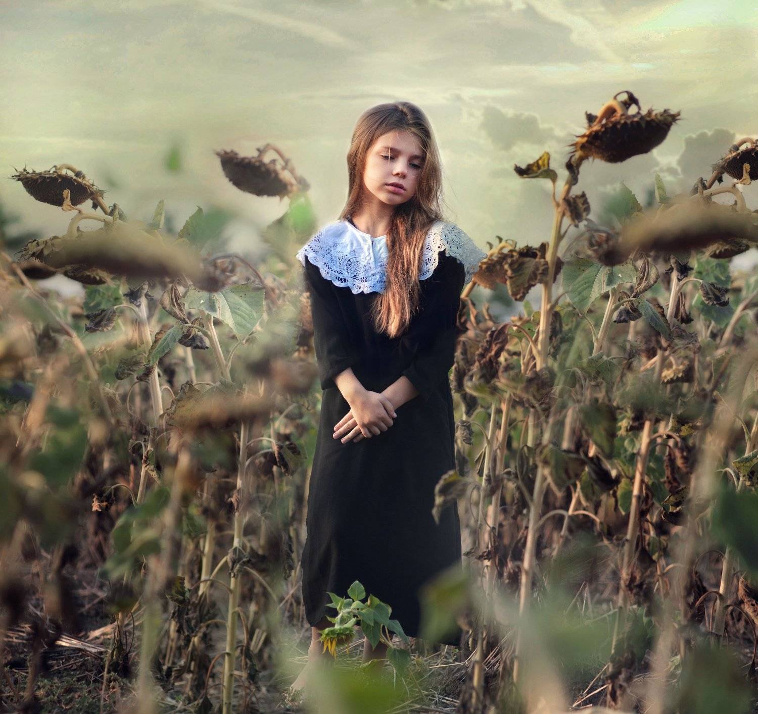 , Ленком Алёна