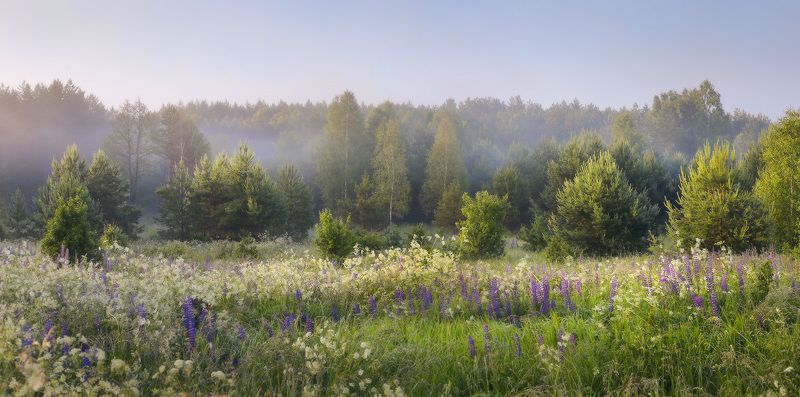 Цветущий июль фото превью