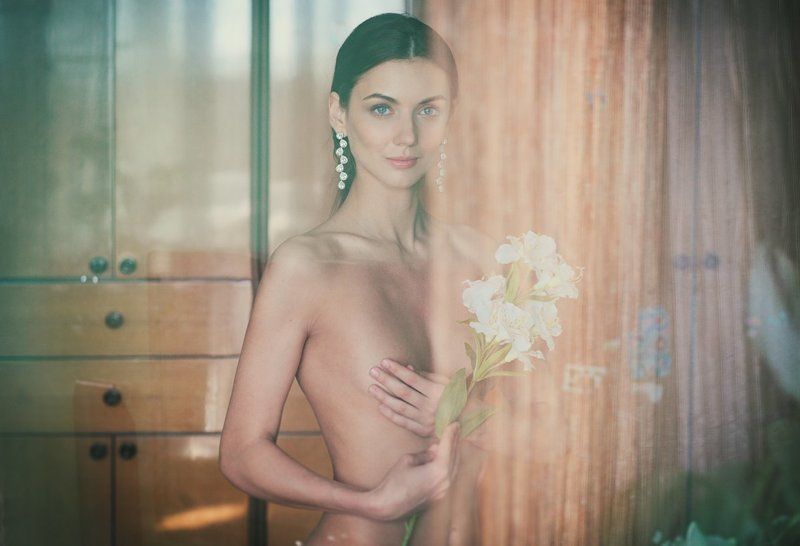 Window flowers фото превью